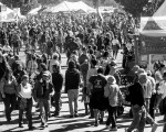 Common Ground Country Fair Common Ground Country Fair